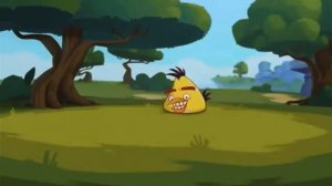 Angry Birds Toons: Photo Chucked (Funny Voice Over)