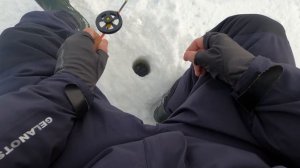 Ловля Крупного Окуня и Судака на Балансиры! Балансир на реке!