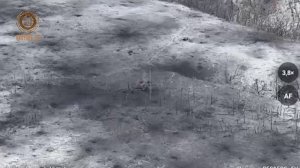 Отряд Шустрого на окраине Клещеевки не даёт спокойного житья всушникам.