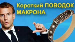 Короткий поводок Макрона