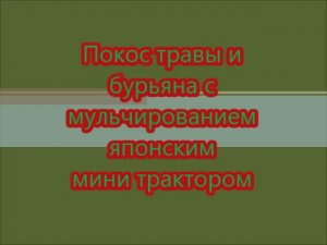 Покос травы и бурьяна с мульчированием мини трактором Дмитровский район