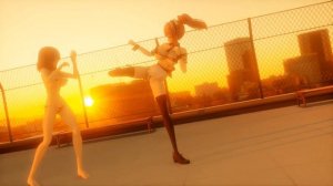 MMD Fight(18+)  (Motion DL)