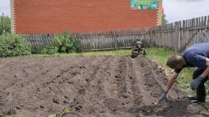 Доработанный способ посадки картофеля мотоблоком Ока. Сезон 2023