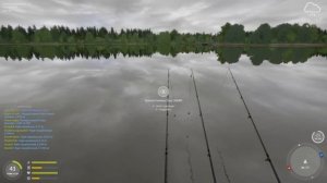 Русская Рыбалка 4. оз. Янтарное, оснастка Hinged Stiff, серебро 500 в час.