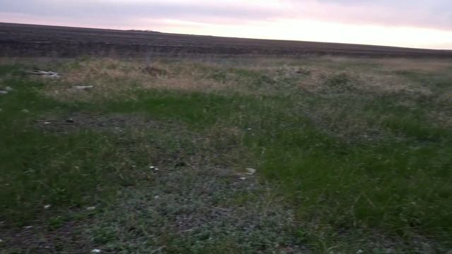 Мусор на пастбище пустяк или смертельная опасность... смотреть онлайн