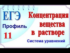 9 класс. Задача на концентрацию. Система уравнений