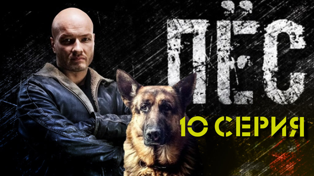 «Пёс»: 10 серия | «Украденное оружие» | Сериалы НТВ