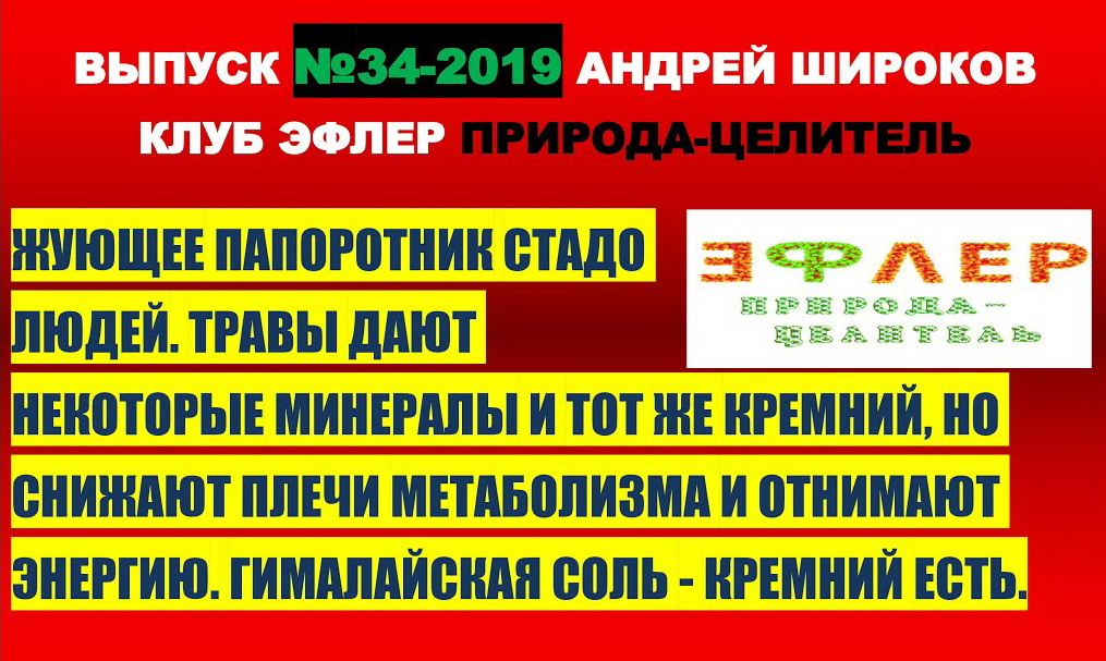 КРЕМНИЙ ОЩЕЛАЧИВАЕТ ТЕЛО. Нехватка КРЕМНИЯ, Как ПОПОЛНИТЬ? ТРАВЫ. ГИМАЛАЙСКАЯ СОЛЬ. ЧТО ВЫБРАТЬ?