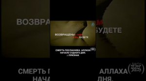 Признаки судного дня #2