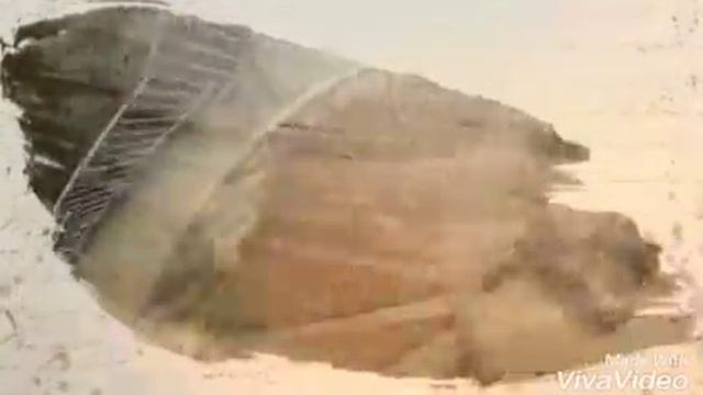 Когда. Друзья. Завут. Играть. В. Км. Но. А. Ты. Не. Дома смотреть онлайн