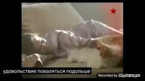 nescafe gold 2010 реклама