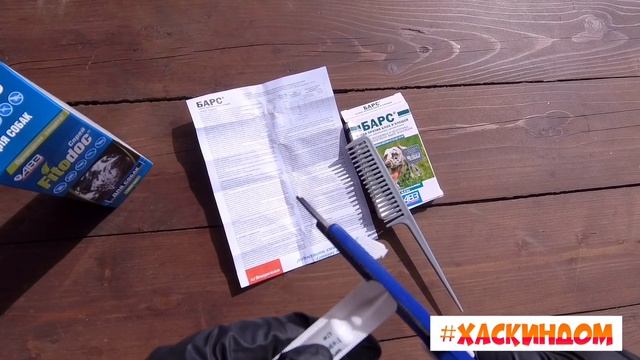 Как правильно обработать собаку от паразитов смотреть онлайн