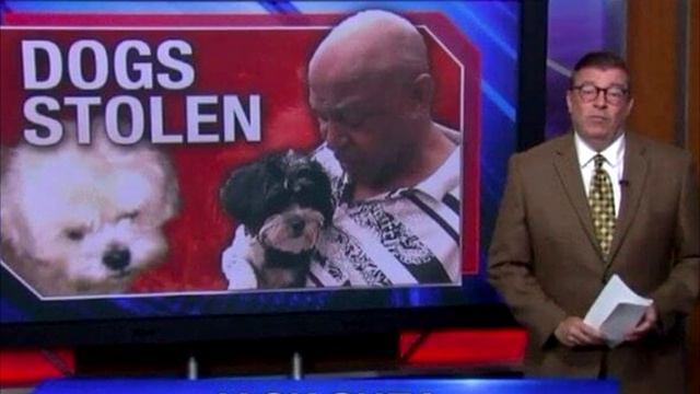 Хозяин бежал за угнанной машиной и плакал — в ней осталось самое ценное, его собака смотреть онлайн