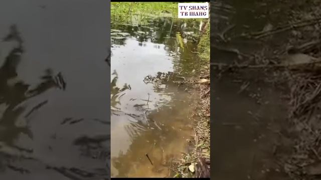 Для рыбаков... #улетноевидео #смешно #шутники #приколы #юмор #шутки #юморина #смех