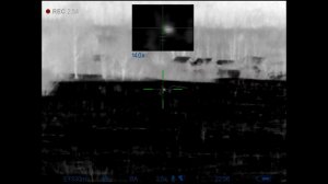 Спас зайца! Лиса, 320 метров, 223 rem