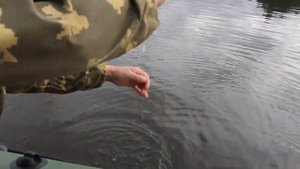 ЛОВЛЯ ЩУКИ НА КРУЖКИ!РЫБАЛКА В БЕЛАРУСИ 2020"ОСЕННЯЯ ЩУКА"