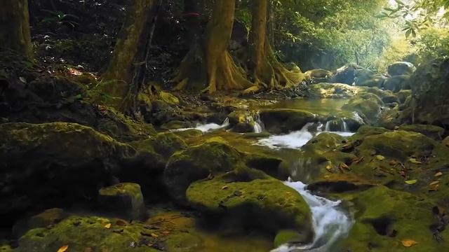 Расслабляющая музыка с пением птиц ─ гитара музыка успокаивающая релаm, красивая фортепианная музык смотреть онлайн