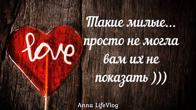 ?Моя малая Родина!!! ?Нереально красивые желтые поля!!!?