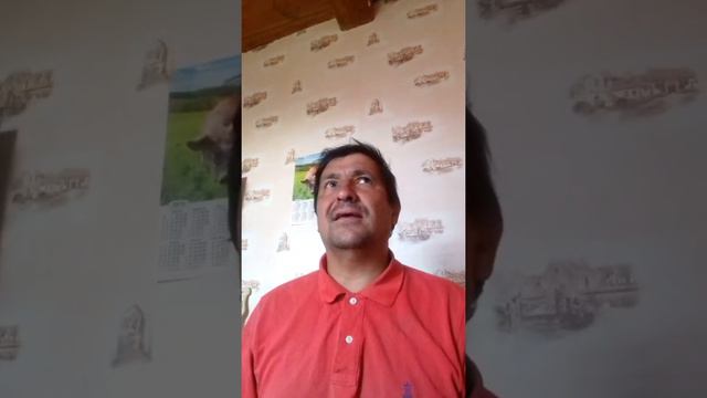 Танцор диско на курае пой Джими пой я тебя не навижу! смотреть онлайн