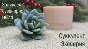 Мыловарение для начинающих. Заливаем самый популярный суккулент Эхеверия для цветочной композиции..