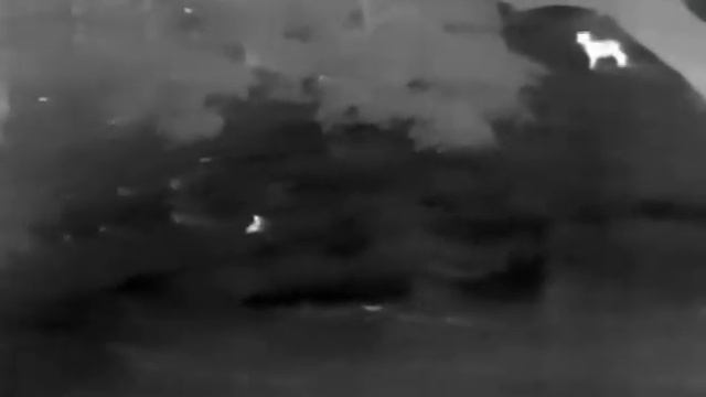 Stalking Deer with a thermal part 2 - E3W INFIRAY MONOCULAR смотреть онлайн