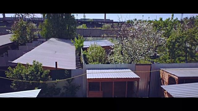 "Хатико" - приют для бездомных животных г.Челябинск смотреть онлайн