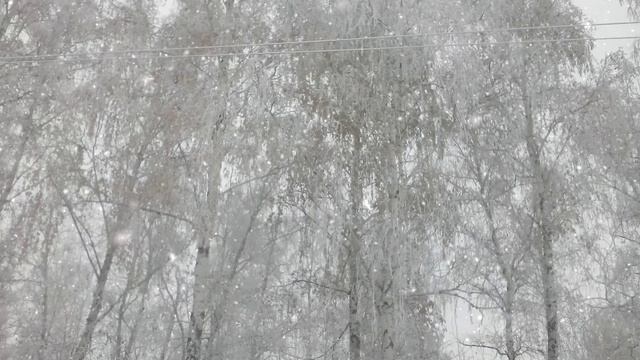 Зима...
