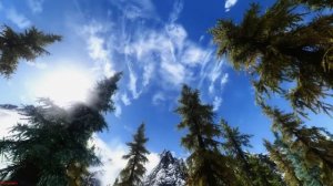 Skyrim   RealVision ENB   Climates of Tamriel Edition  PC   HD 1080p