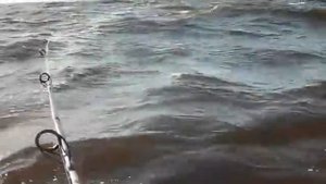 волна на рыбинском водохранилище 2011