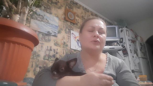 КАК ПОЯВИЛИСЬ ЖИВОТНЫЕ В НАШЕМ ДОМЕ❤️ДОМАШНИЙ ЗООПАРК
