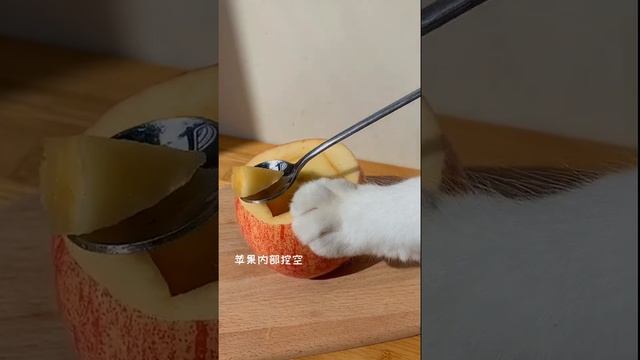 #short #Cat # Pet #Cute Chef Catie Puzzy Cooking Food | Милый кот готовит 2021