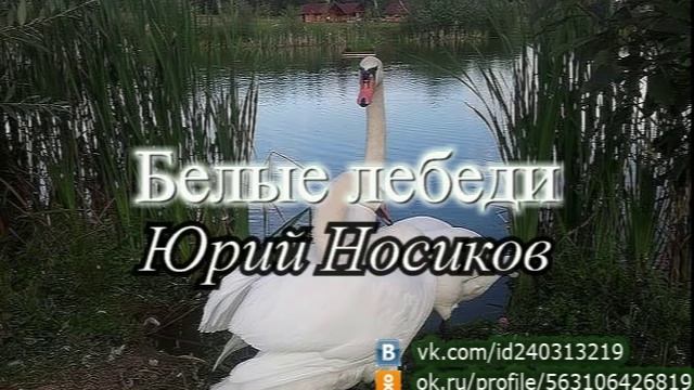 Русская песня лебедушка