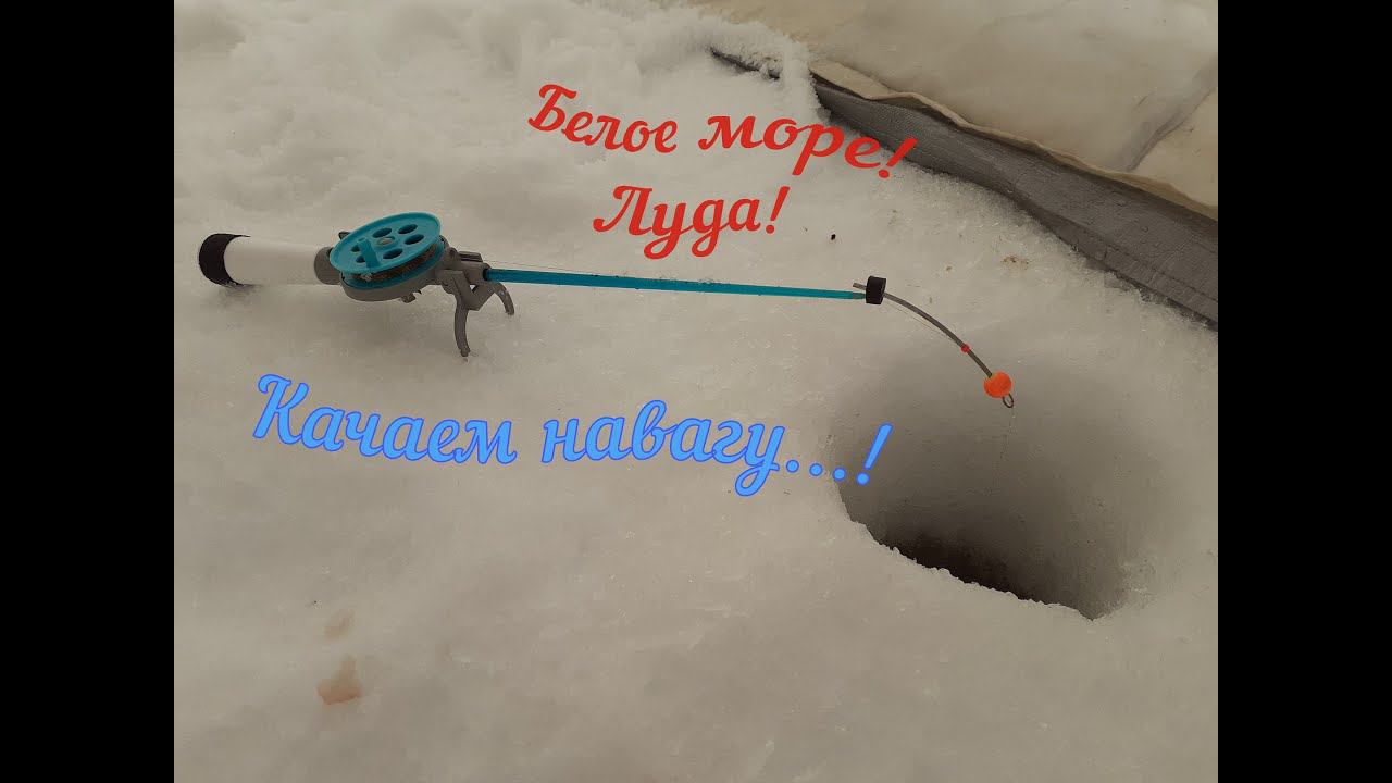 СТОЛЬКО РЫБЫ МЫ ЕЩЁ НЕ ЛОВИЛИ! ЗИМНЯЯ МОРСКАЯ РЫБАЛКА! смотреть онлайн