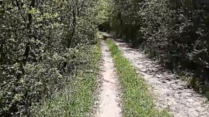 Горлинское водохранилище