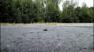 Трасса Алатырь- Ибреси