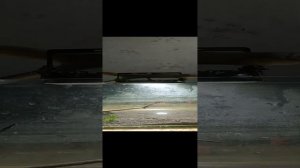 дешовыйи записк аквариума 10л