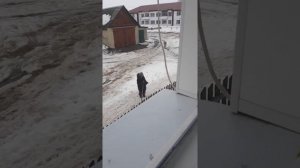 Бабка орет на всю улицу