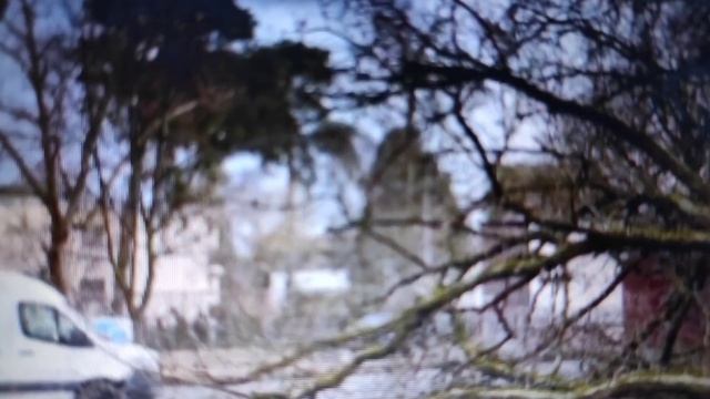 Разрушений больше, чем от урагана и торнадо. Неадекватное поведение людей в момент опасности. смотреть онлайн