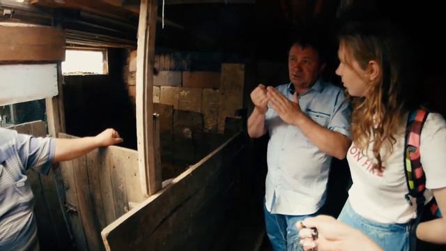 Эксперимент ОАО "Оренбургский комбикормовый завод". Выращивание поросят. Часть1 смотреть онлайн