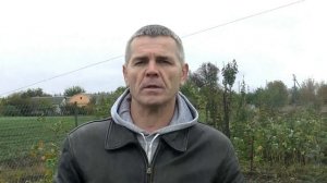 Подготовка саженцев зизифуса к зимовке.