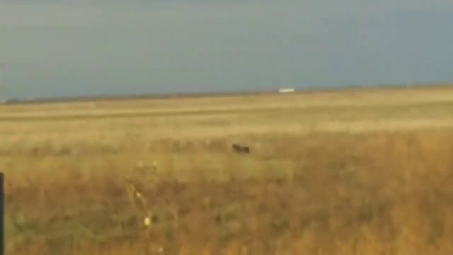 Рыбацкий Дом "САРБАЙ" смотреть онлайн