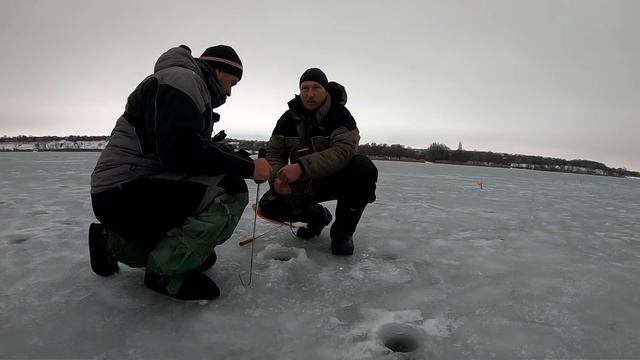 Ловля судака и щуки на жерлицы. Утренний судачий выход. Декабрь 2018