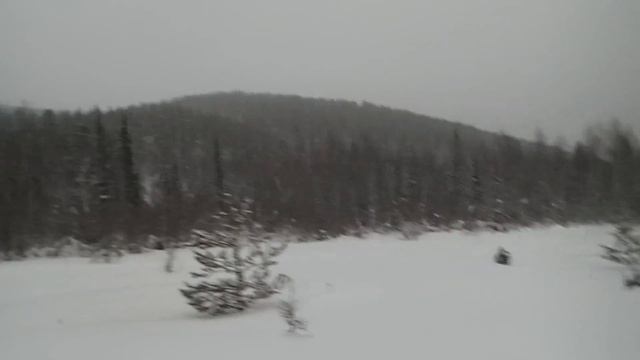 New Year Tree 2016 смотреть онлайн