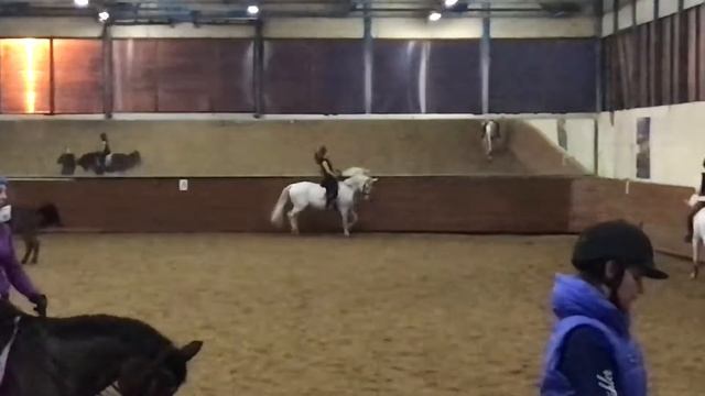 Рысью по диагоналям смотреть онлайн