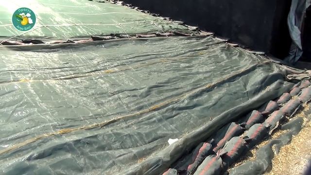 Племенной завод "Приневское". Просто Агроблог.