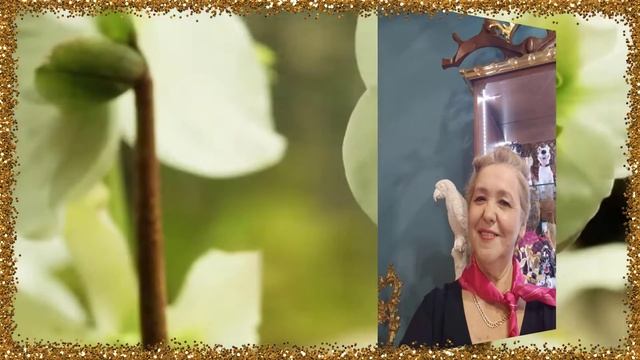 ?ЕСТЬ ТОЛЬКО МИГ, КОТОРЫЙ ПО ЖИЗНИ ДАЁТ ВОЗМОЖНОСТЬ ЖИТЬ РАДОВАТЬСЯ И ЛЮБИТЬ смотреть онлайн