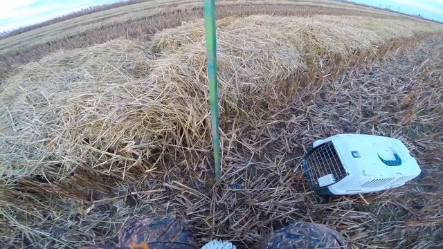 Утиная охота Duck hunting Утиные чучела Baby Mojo Outdoors Duck Decoys смотреть онлайн