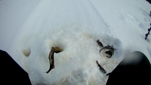 почти весенняя рыбалка,