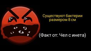 Ты услышал этот факт: (7 часть)