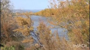 Осенние мотивы (Поль де Сенневиль "Брак по любьви" )